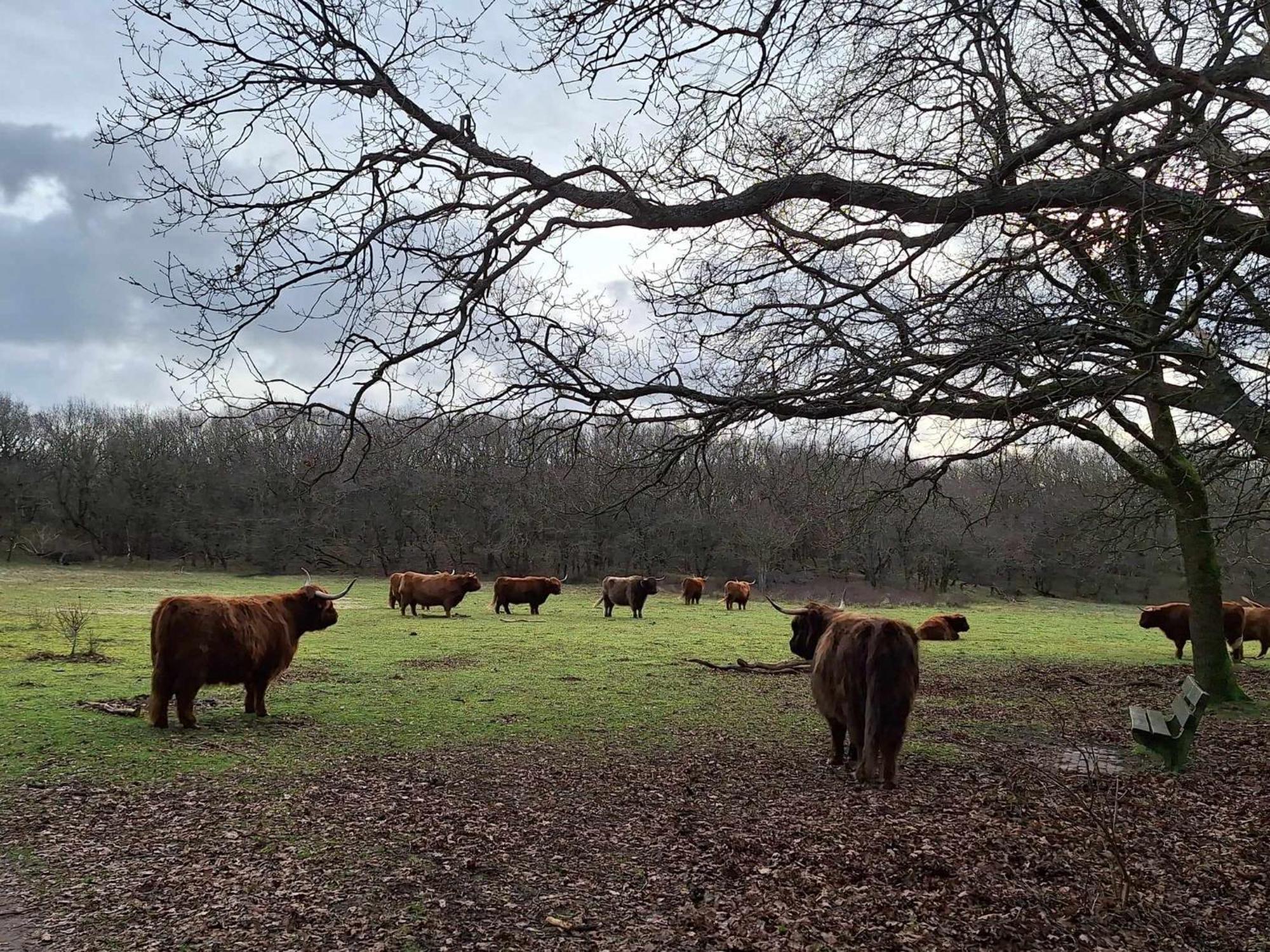 Bijzonder Bakkum Villa Castricum Buitenkant foto